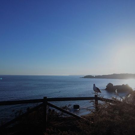 포티마오 Oasis Lighthouse 빌라 외부 사진